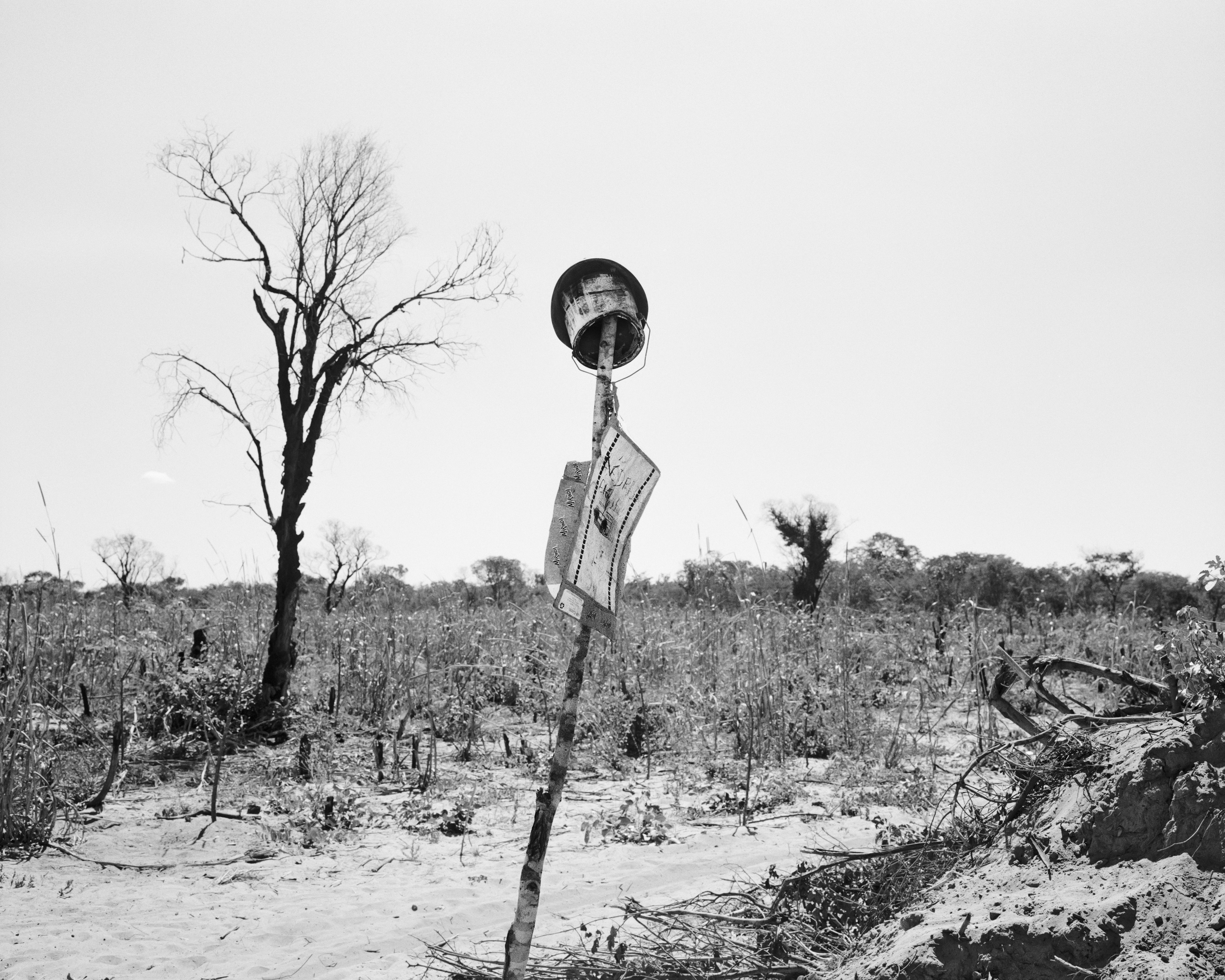 Jo Ractliffe As Terras do fim do Mundo 2009 Hand-printed silver gelatin print Courtesy the artist