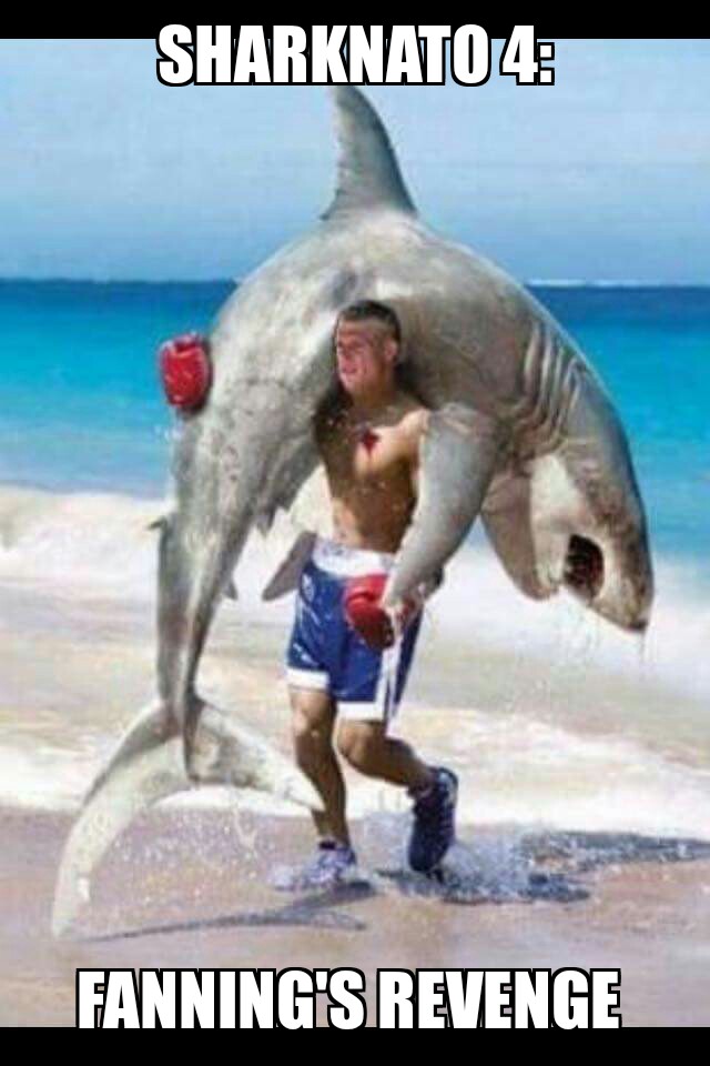 The best Mick Fanning shark attack memes to bless the