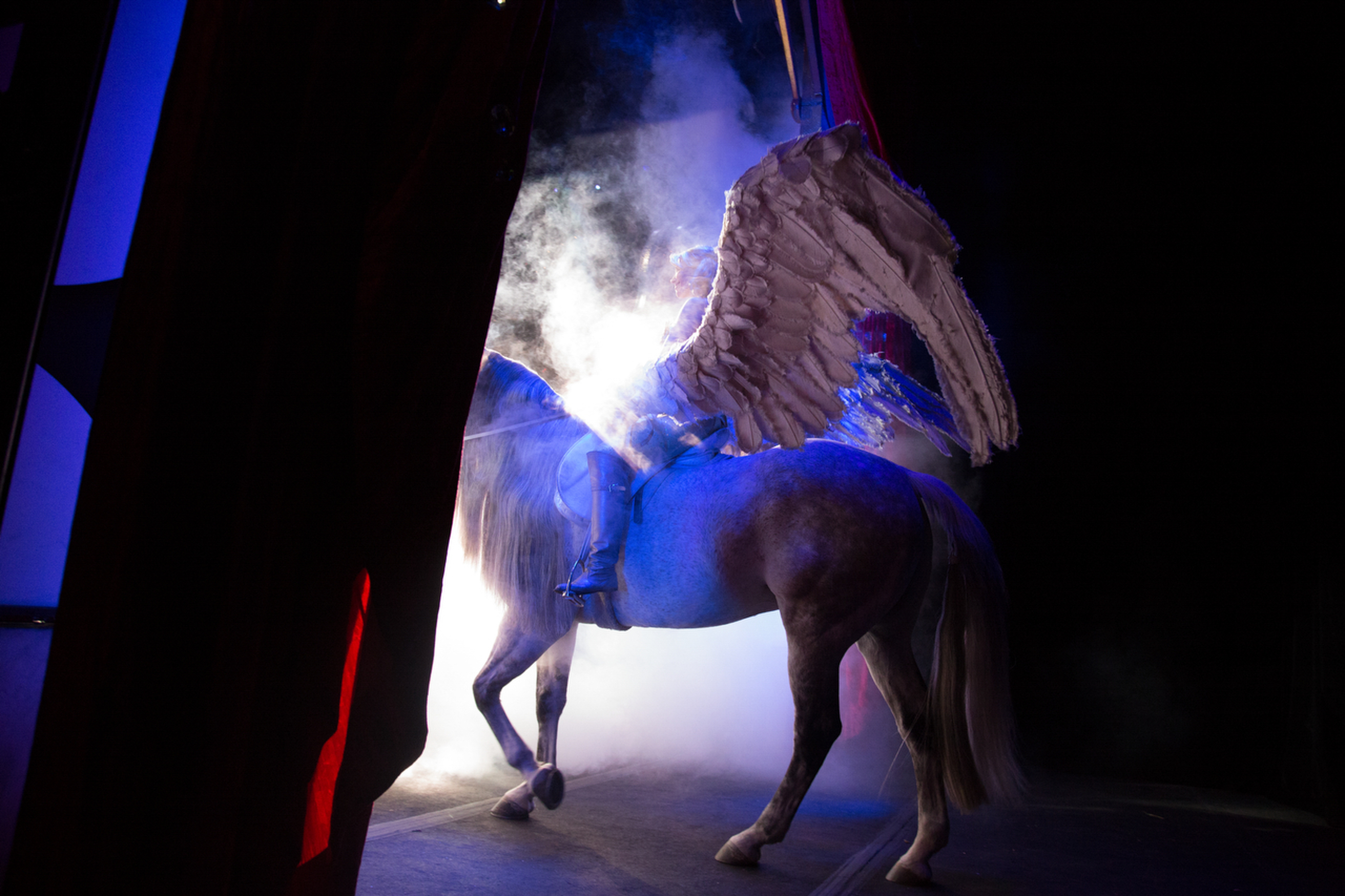 On the Road with Ringling Bros. and Barnum & Bailey Circus