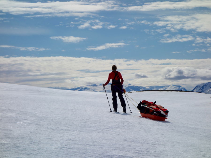 LEA SLED