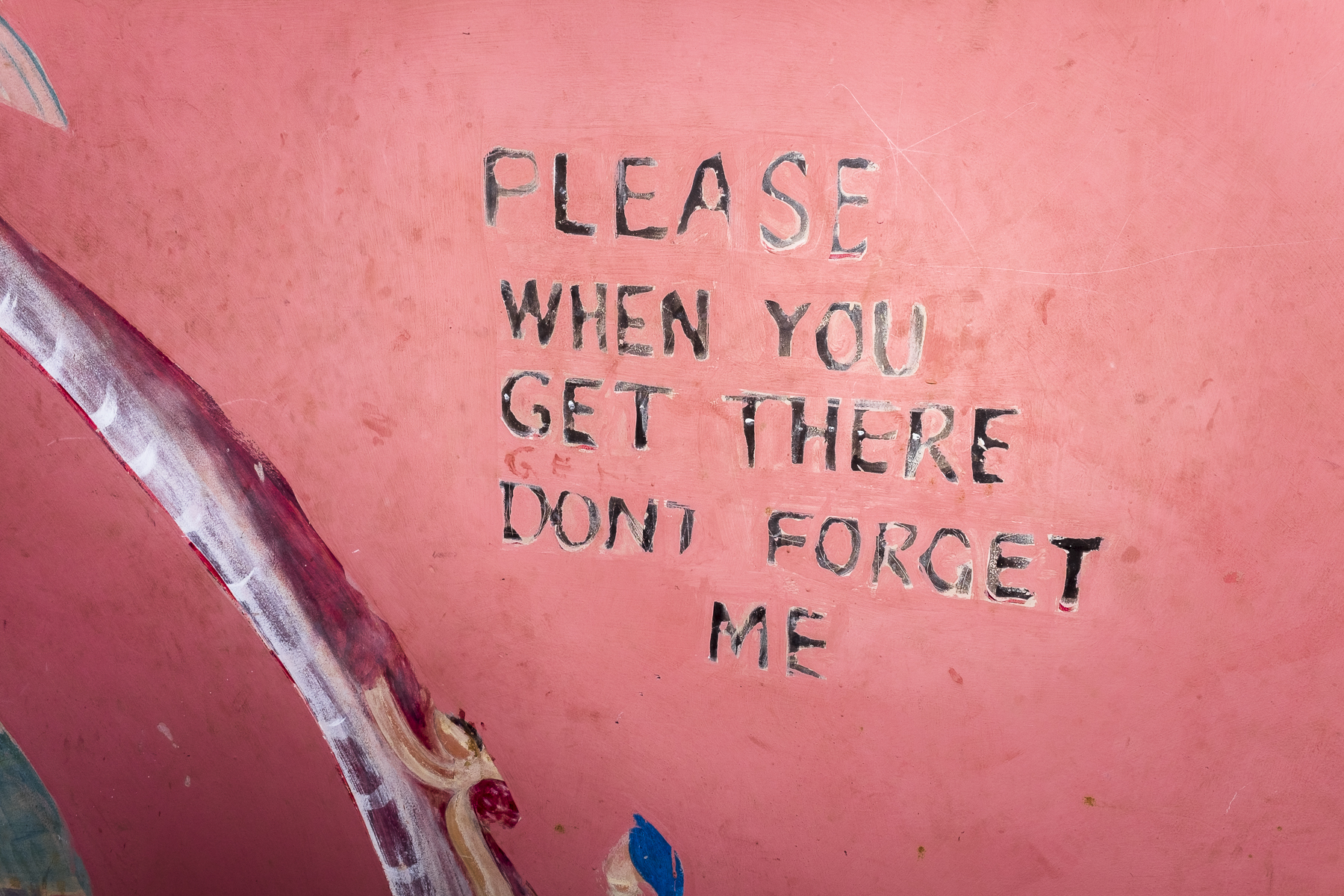 Photo by Charlie Kwai