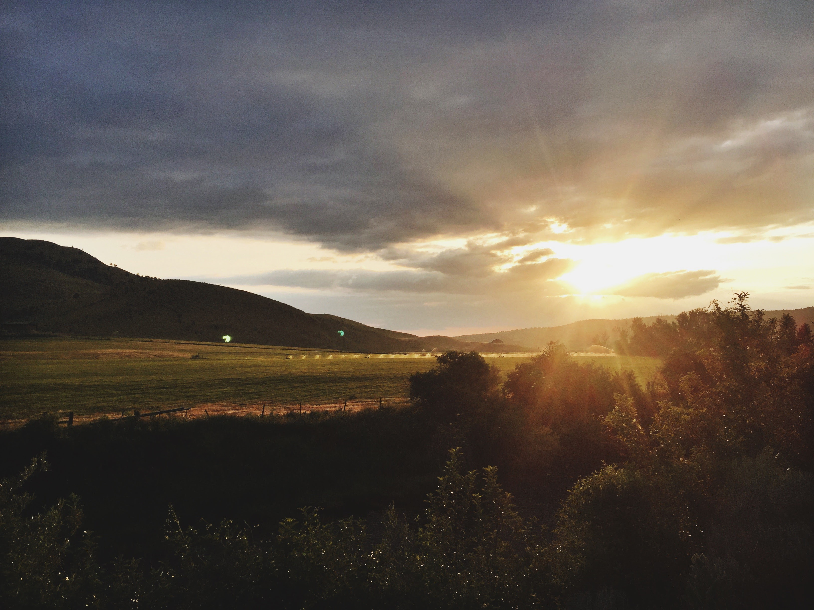 Processed with VSCO with 4 preset