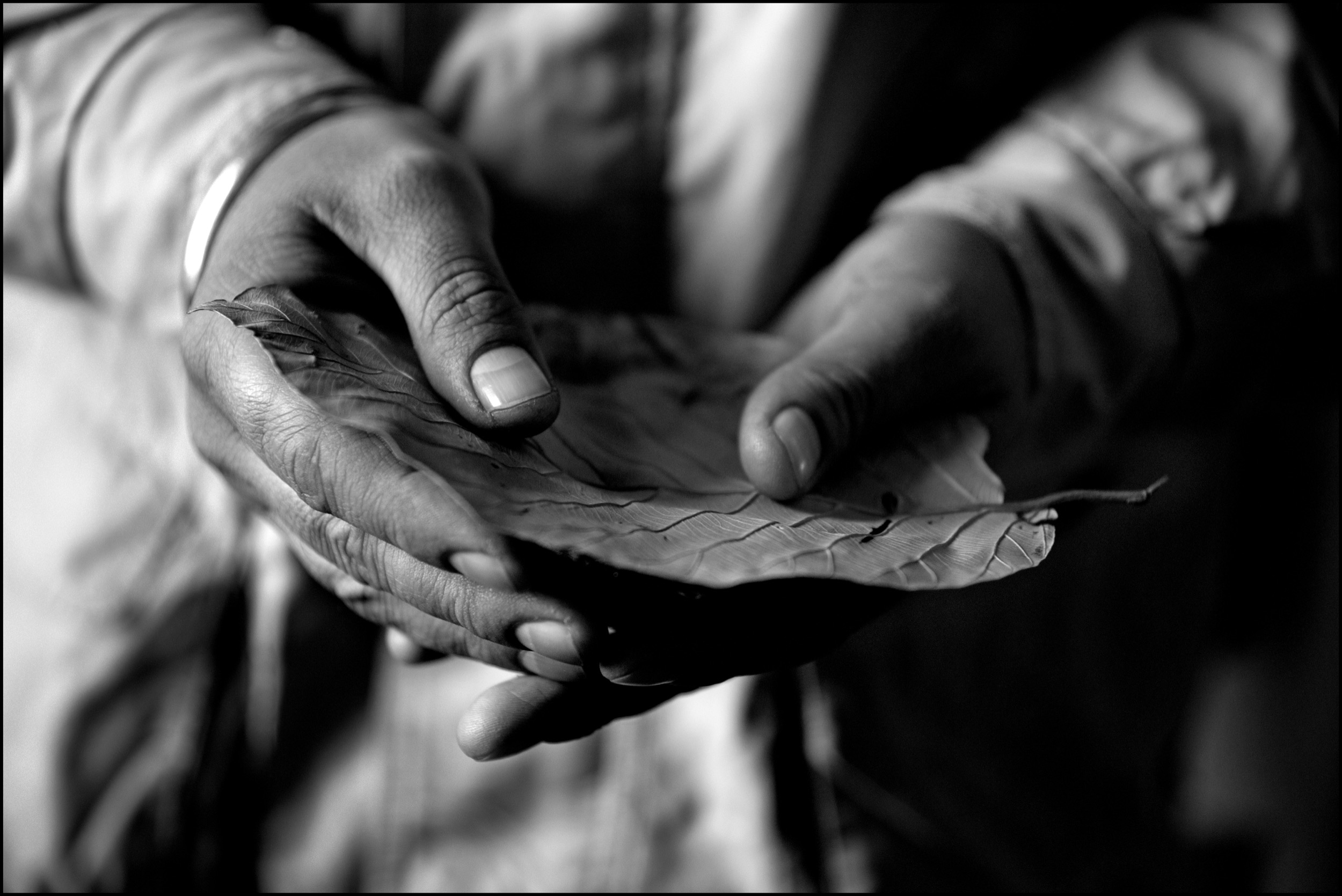 In the Golden Temple, the Sikhs’ most sacred place, a pilgrim holds a leaf to receive the morning darshan (food offering); Amritsar, India.