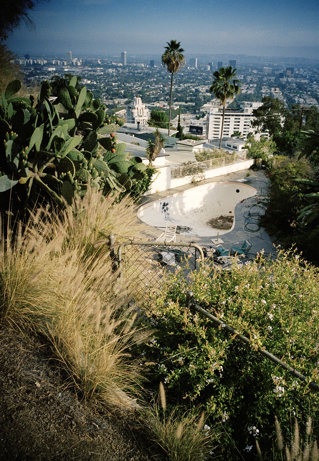 TR_LA-Background-Frame21 001