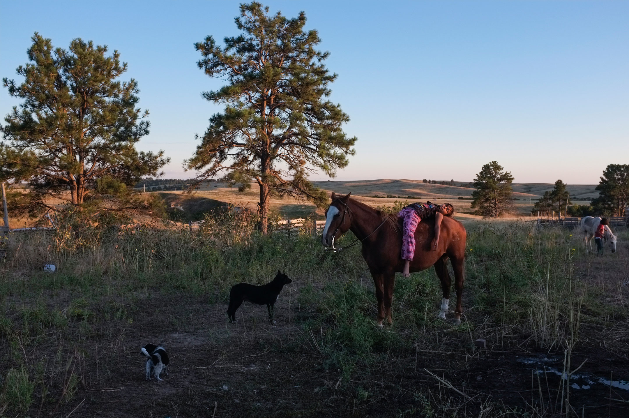 Pine Ridge, South Dakota. 2011.