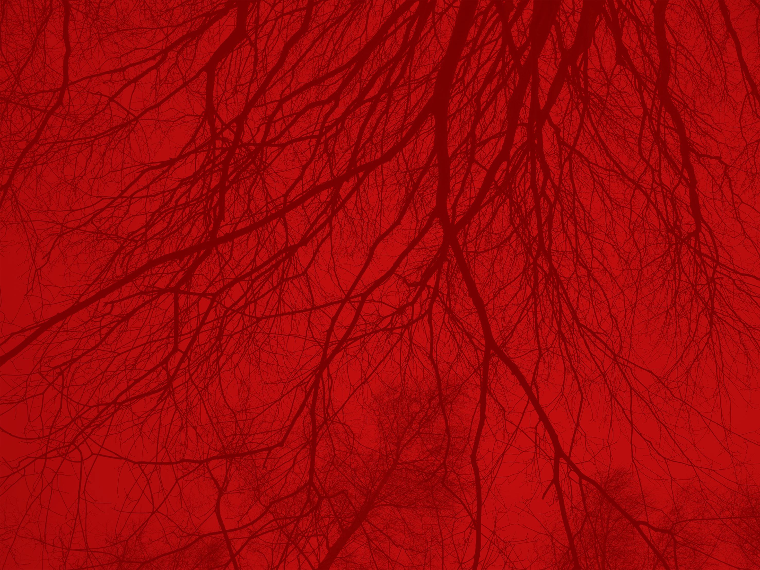 001_MARTINSEEDS