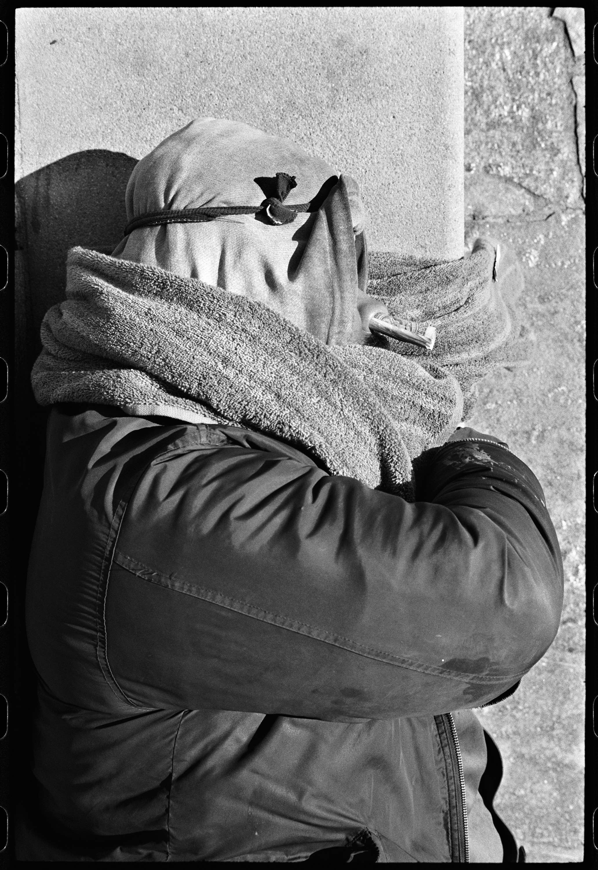 Ed_Templeton_Money_Nose