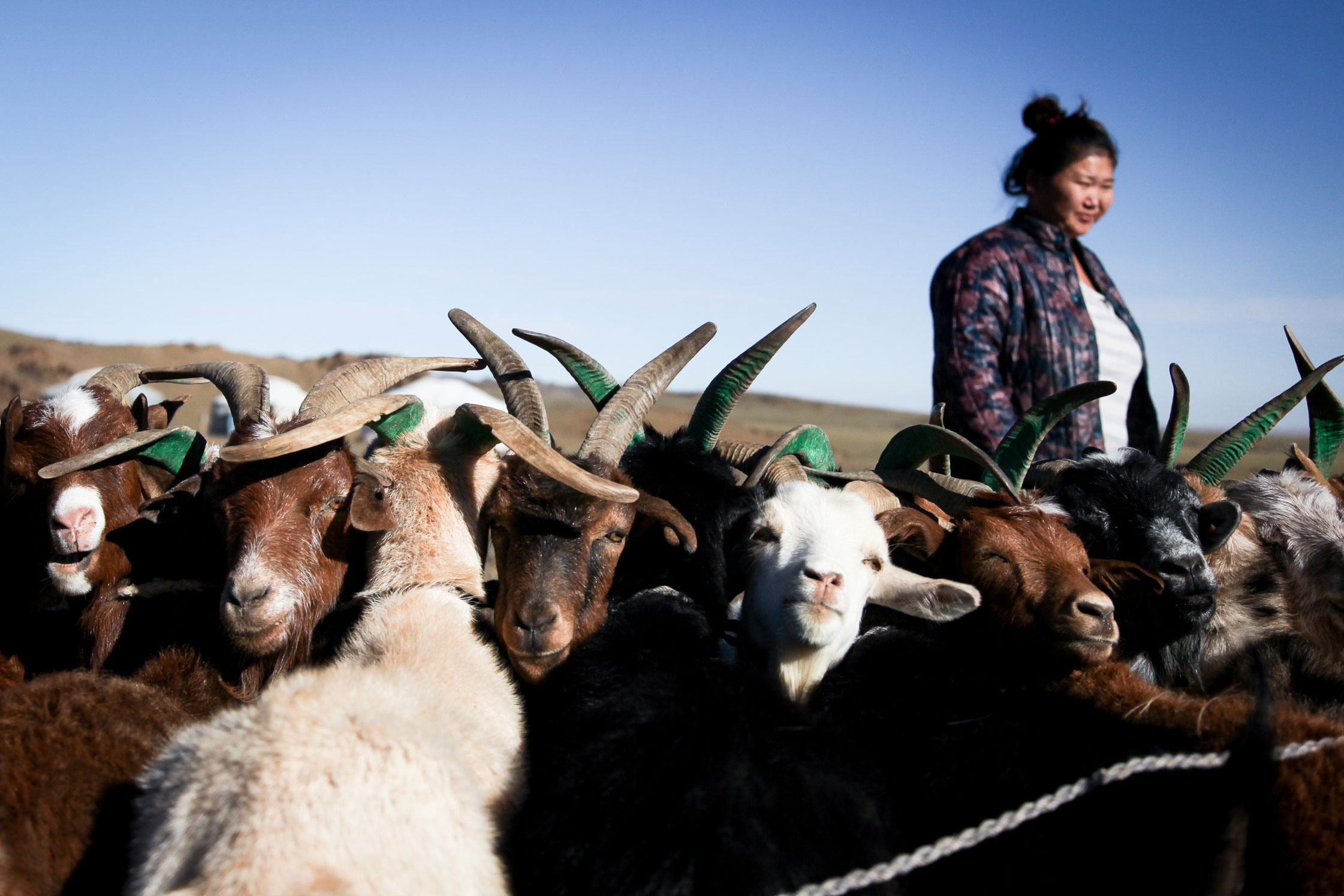 Dalanzadgad, Mongolia.
