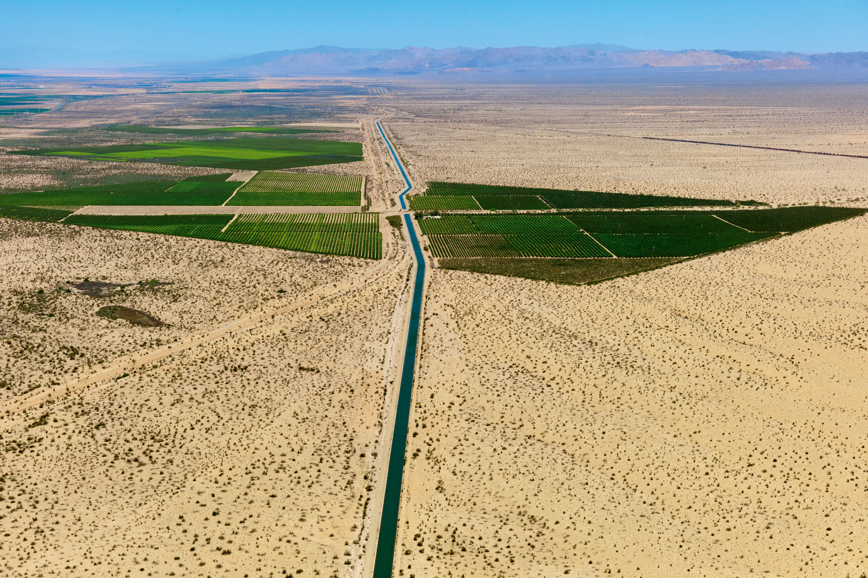 Coachella Canal, Tortuga.