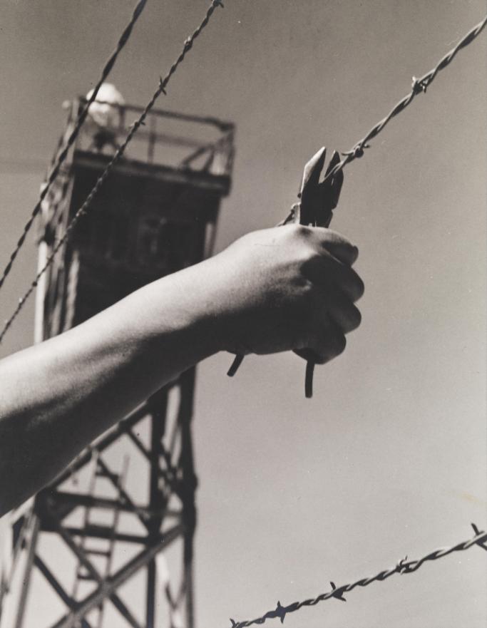 Untitled (Opening Image from Valediction), 1944, Toyo Miyatake. Courtesy the Whitney.