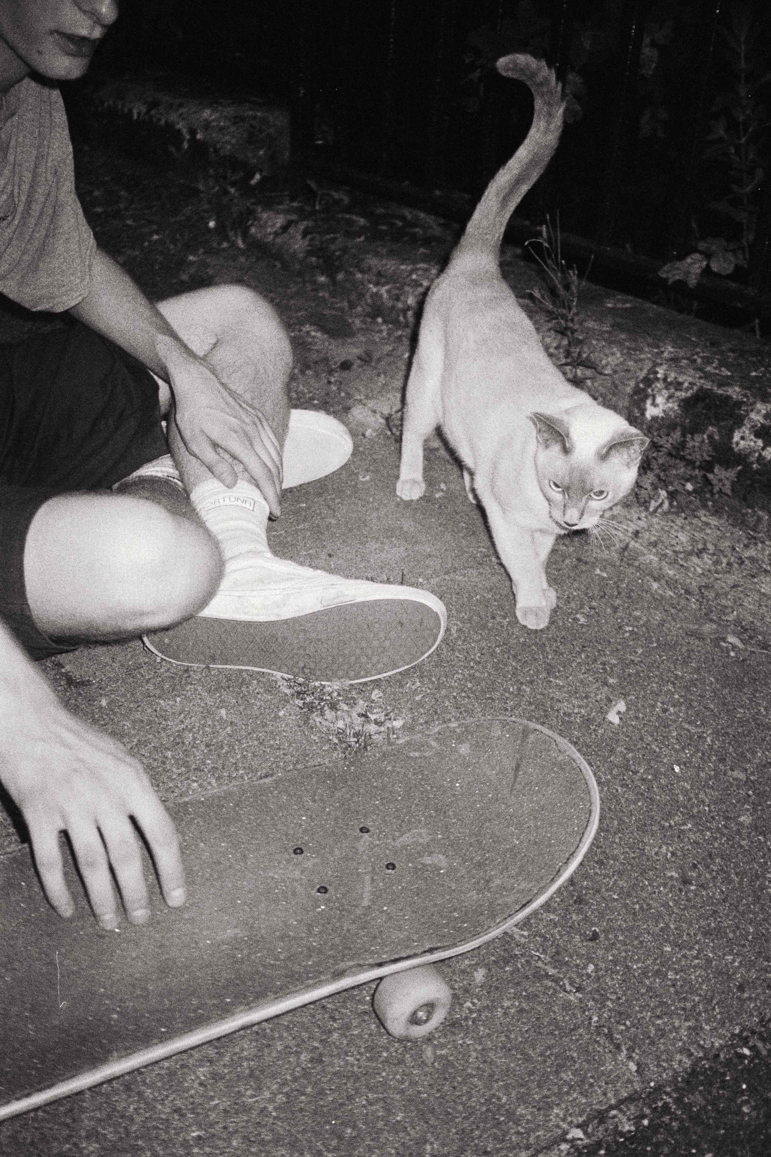 Photography Sophie Leigh
