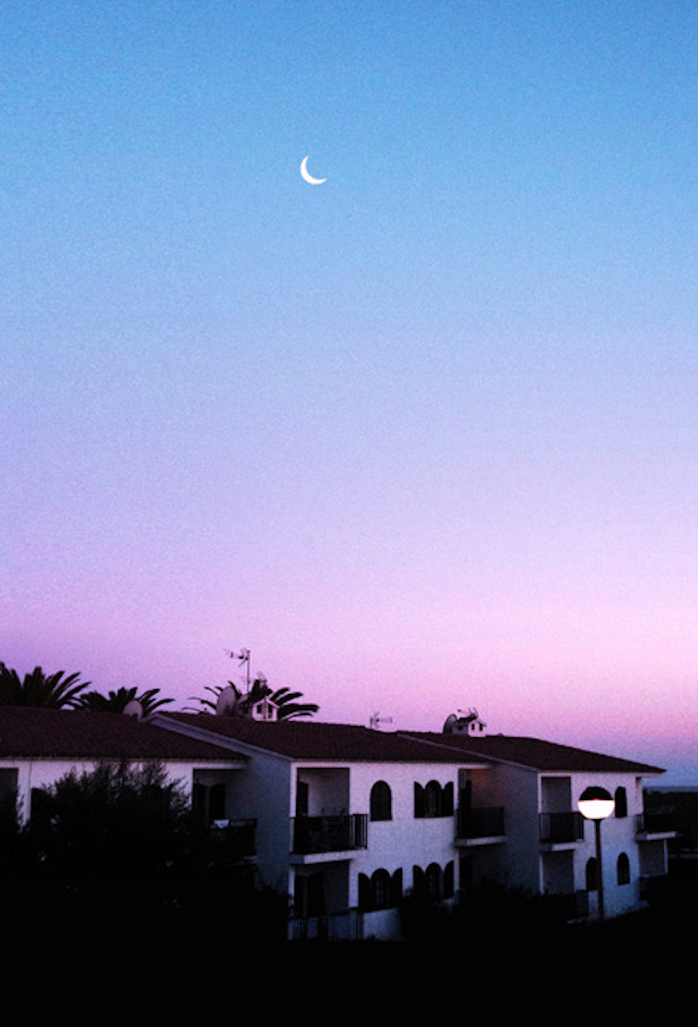 GriseldaDuch_Balearica_02
