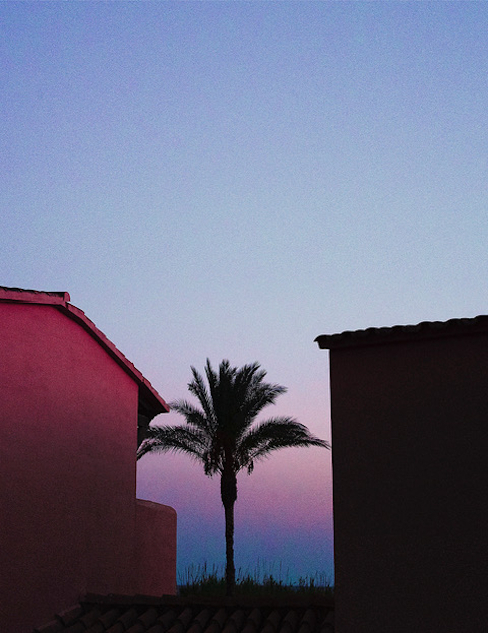 GriseldaDuch_Balearica_03