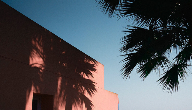 GriseldaDuch_Balearica_17