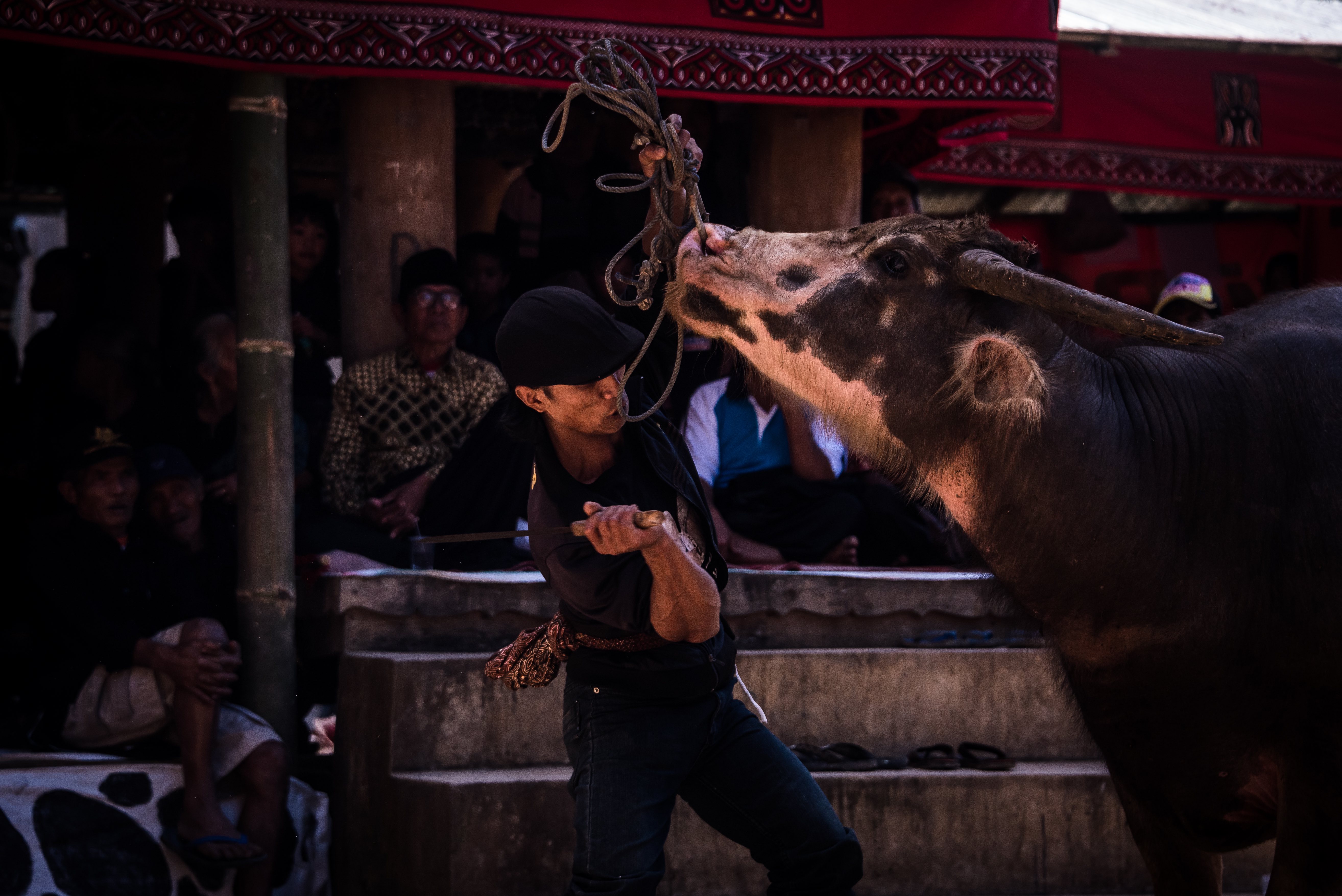 Rambu Solo Funeral in Lo'Ko Uru