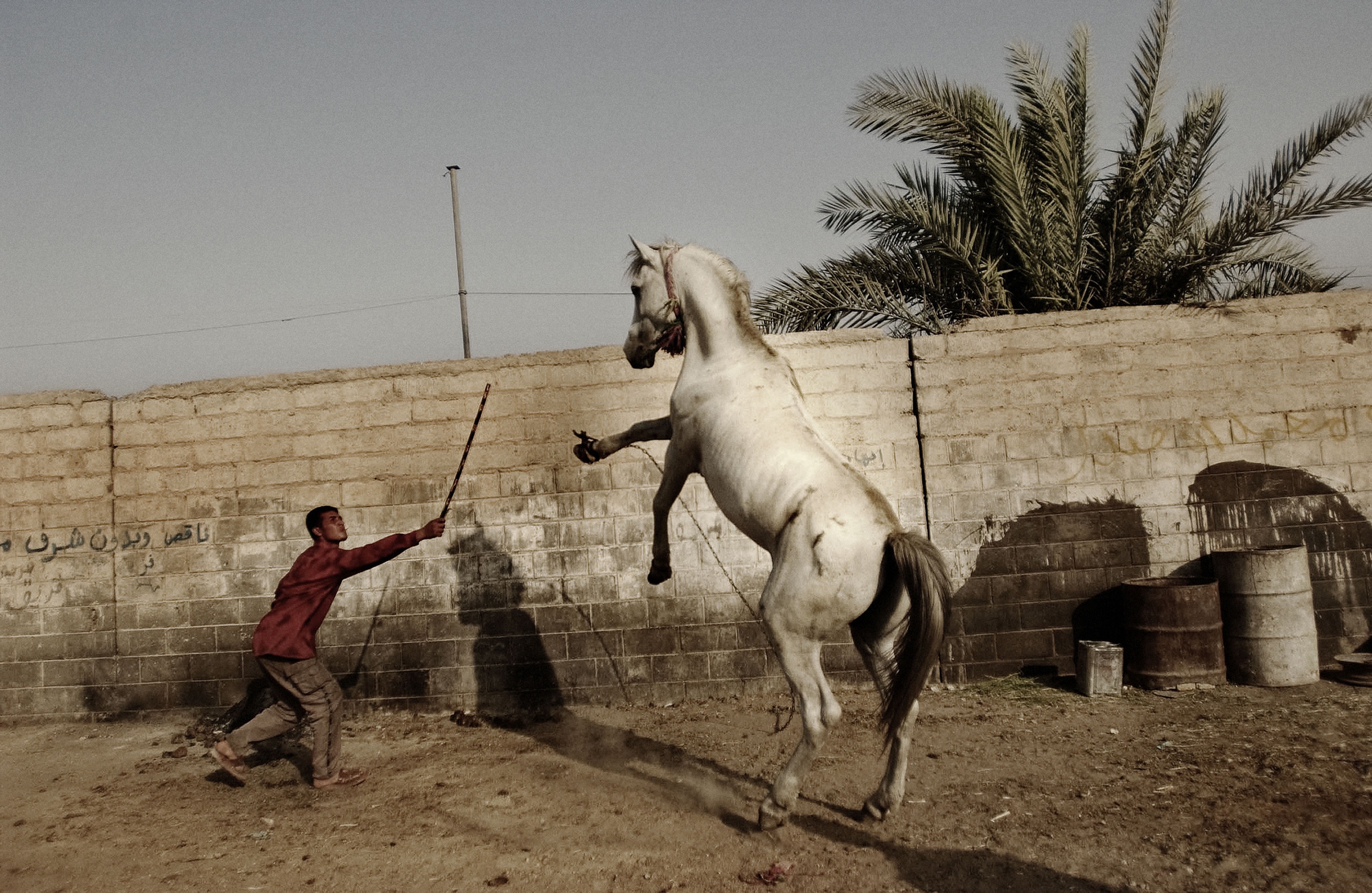 Baghdad, Iraq. July, 2004 © Moises Saman/ Magnum Photos