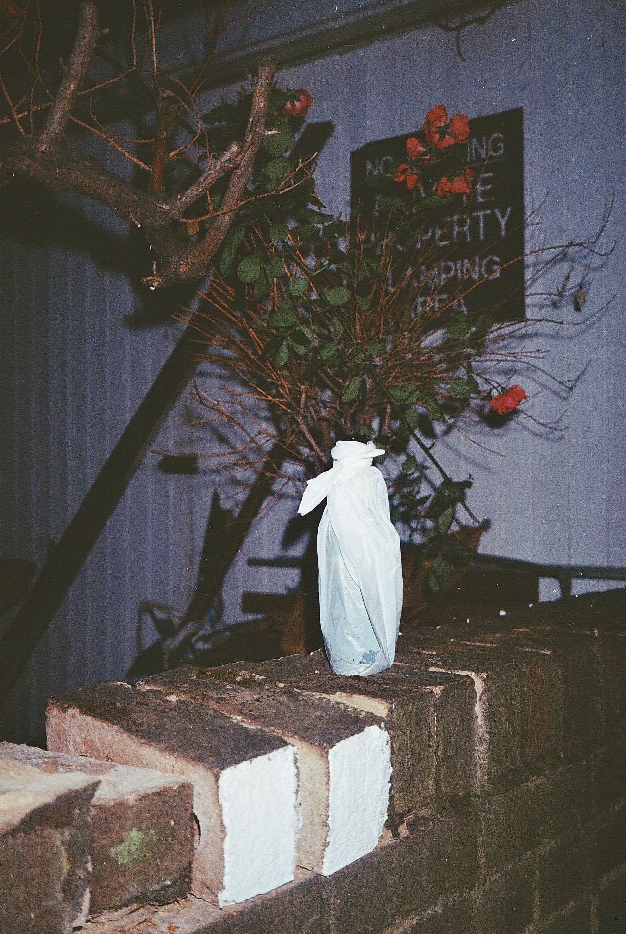 Photo40_36A