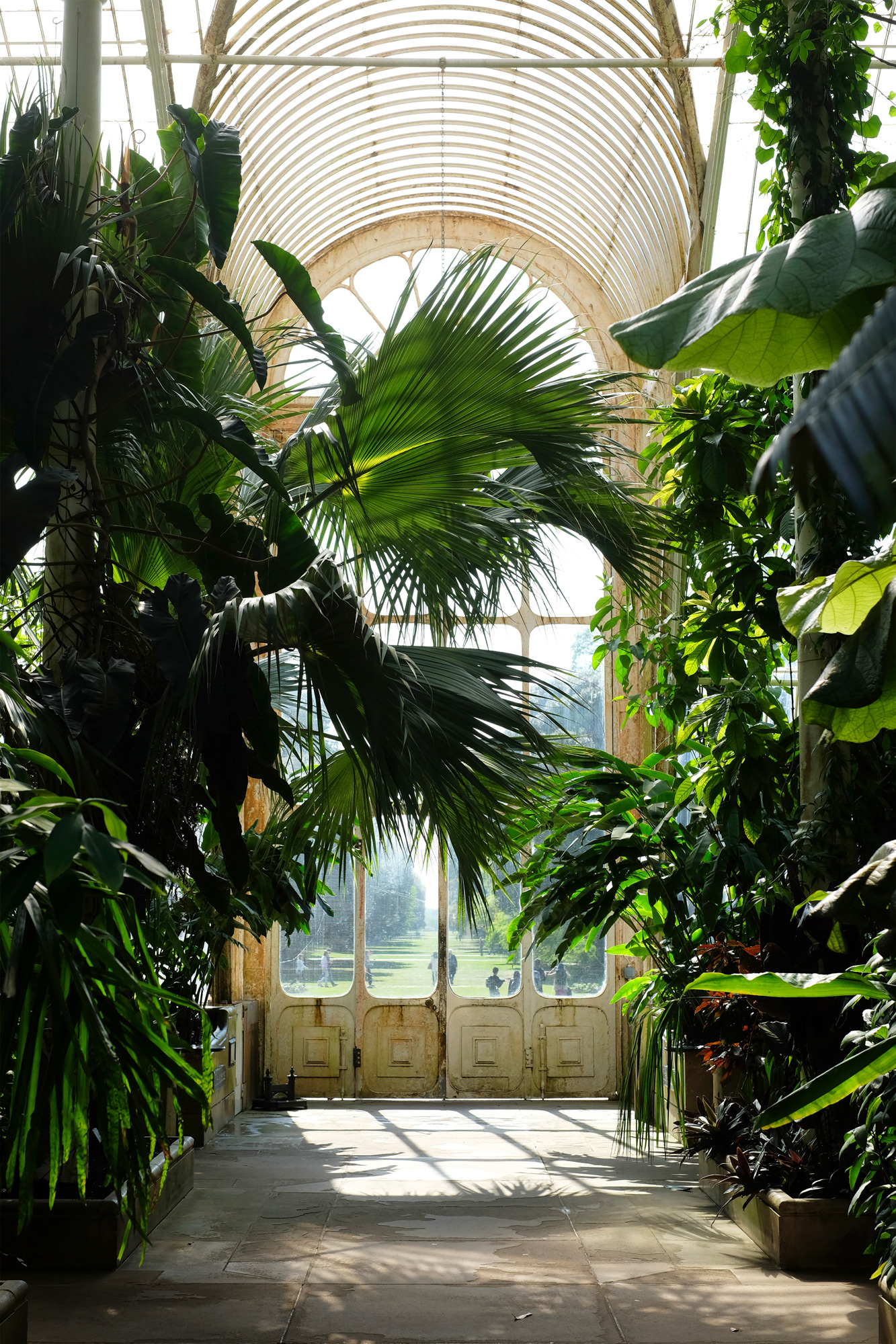Kew Gardens Coffee Research, where scientists work on groundbreaking research into the coffee plant and its sustainability.