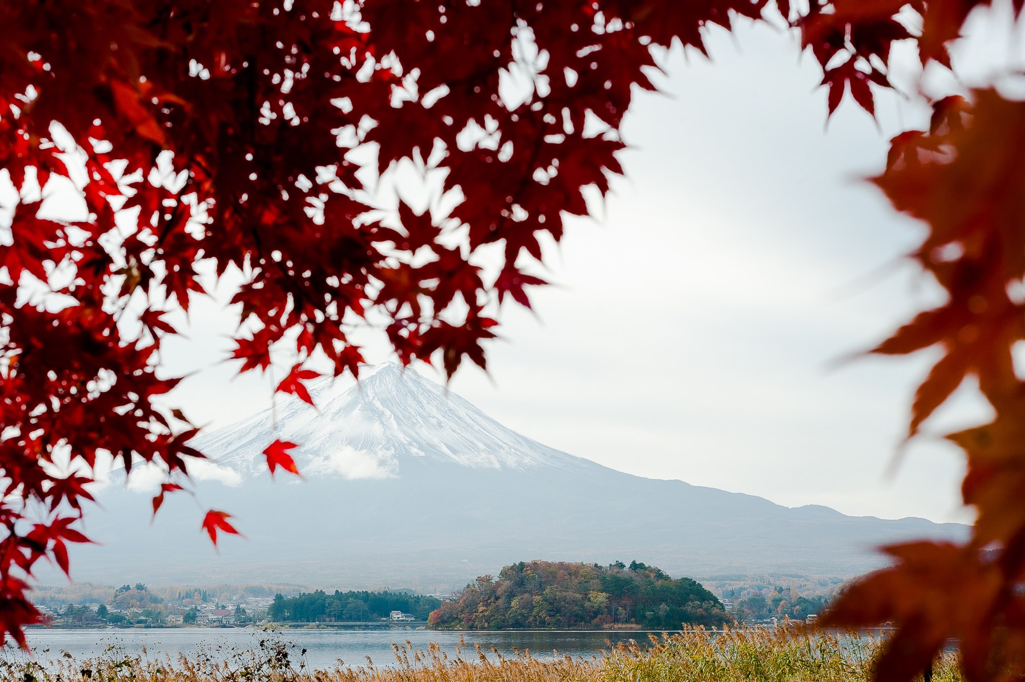 Mount Fuji from Lake Kawaguchi