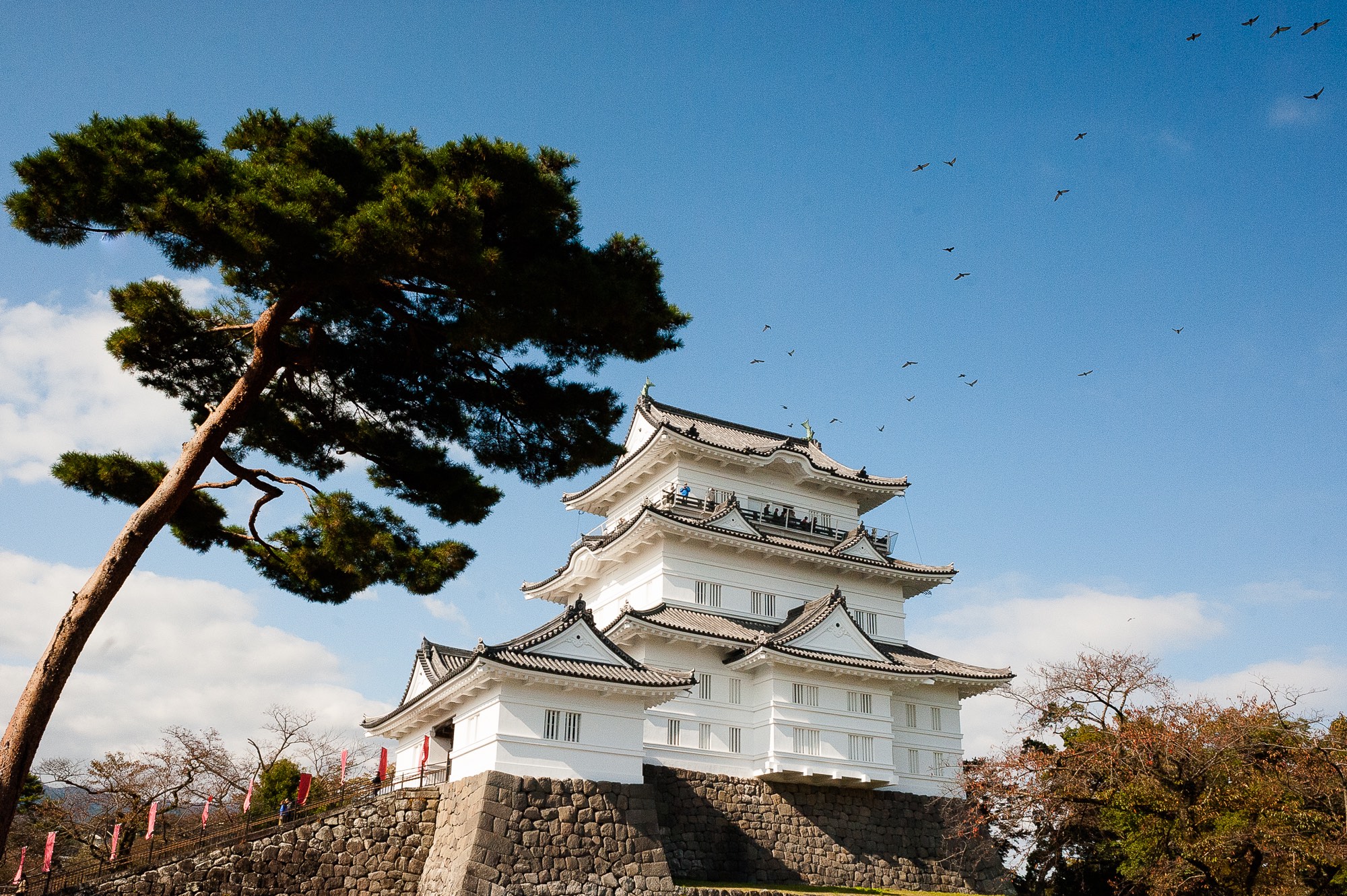 Odawara Castle, Kanagawa