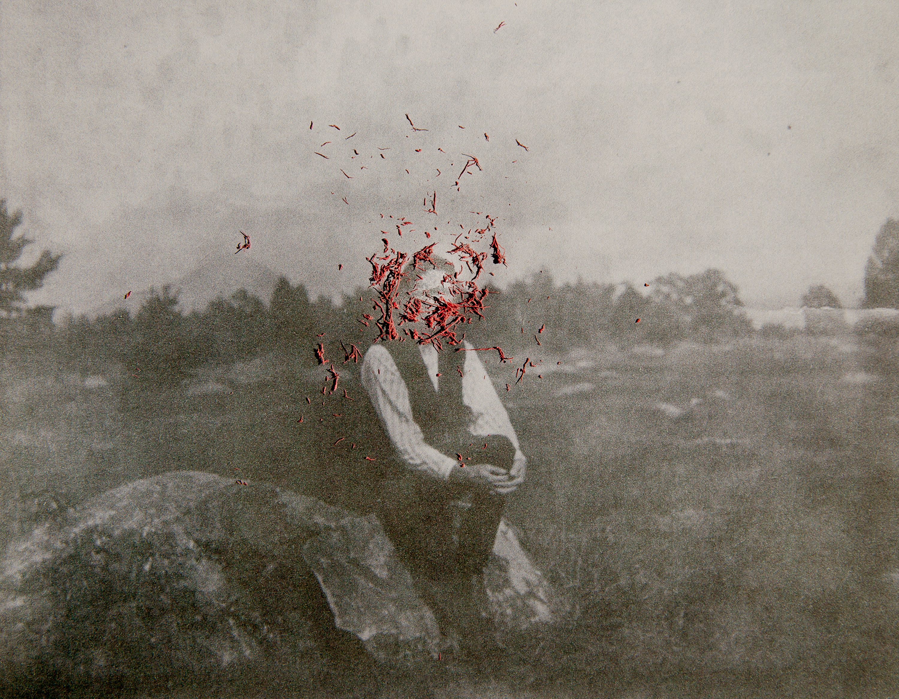 Hermit Erased ©Amani Willett