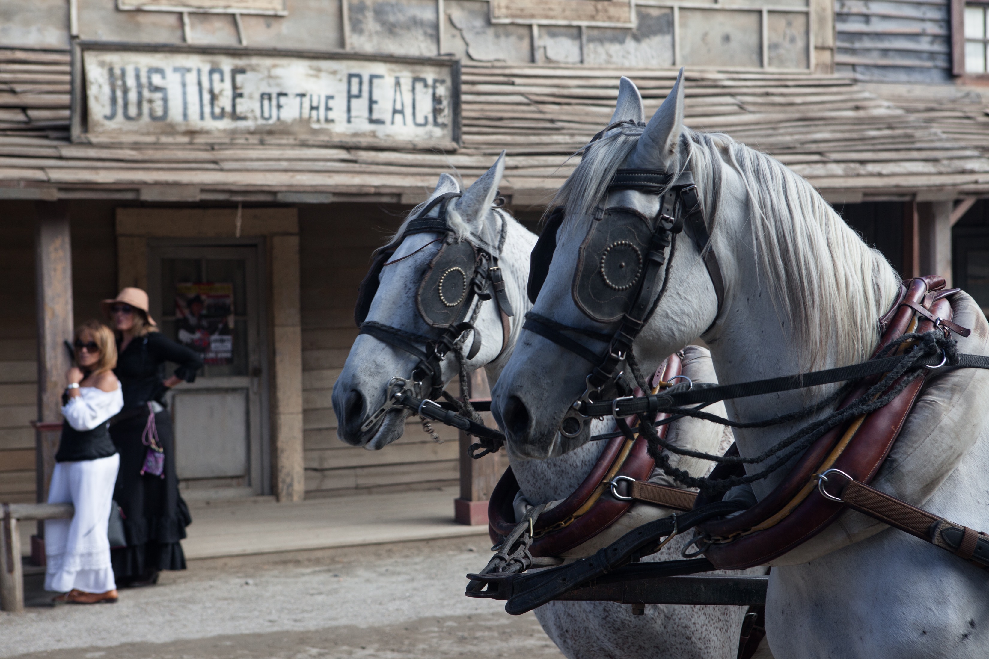 Almería Western Film Festival 2015, Fort Bravo/Texas Hollywood