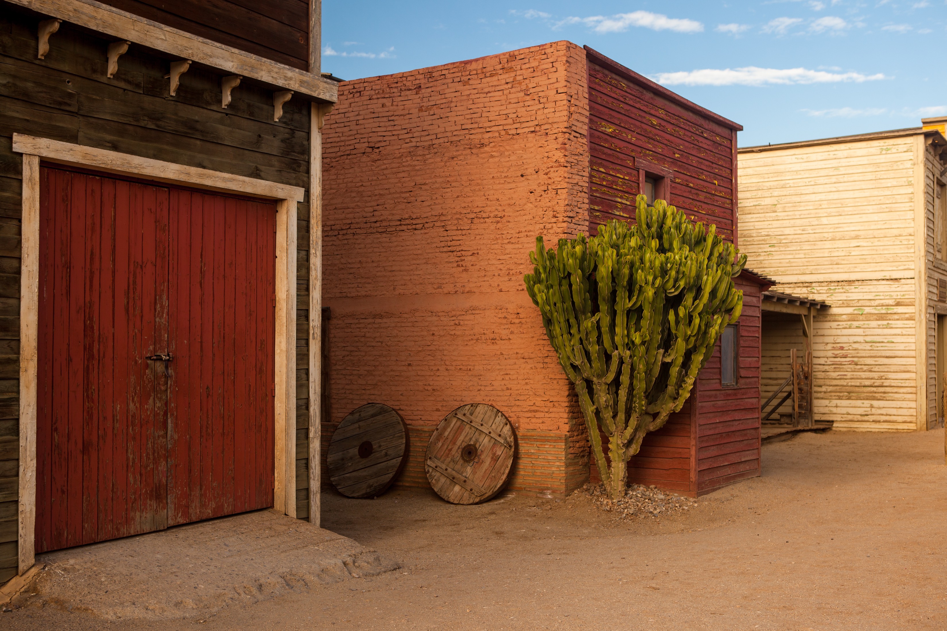 Cactus, Mini Hollywood