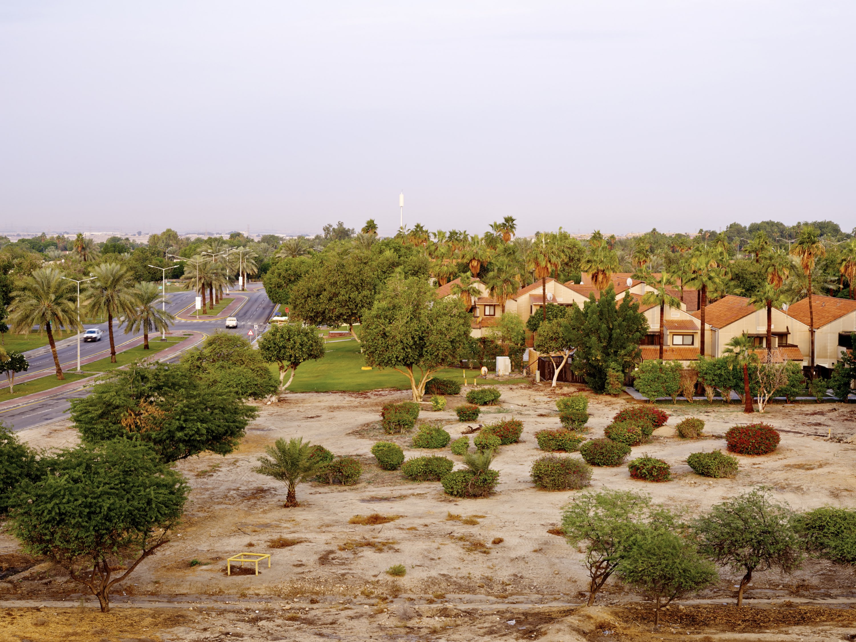 Early-morning view along Rolling Hills Boulevard.