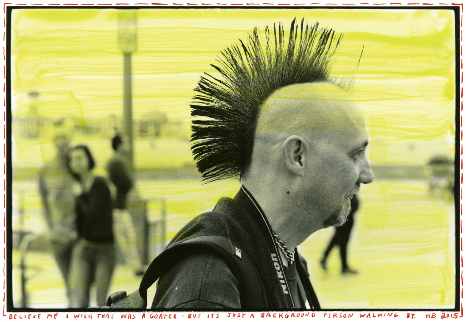 Bald-Hawk_1520x