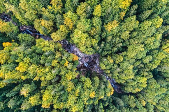 Above the Željeznica, a river that became known as the Iron River when the dams were proposed in 2009. The local community’s 24-7, 325-day protest was successful and dam construction on the Željeznica was stopped.