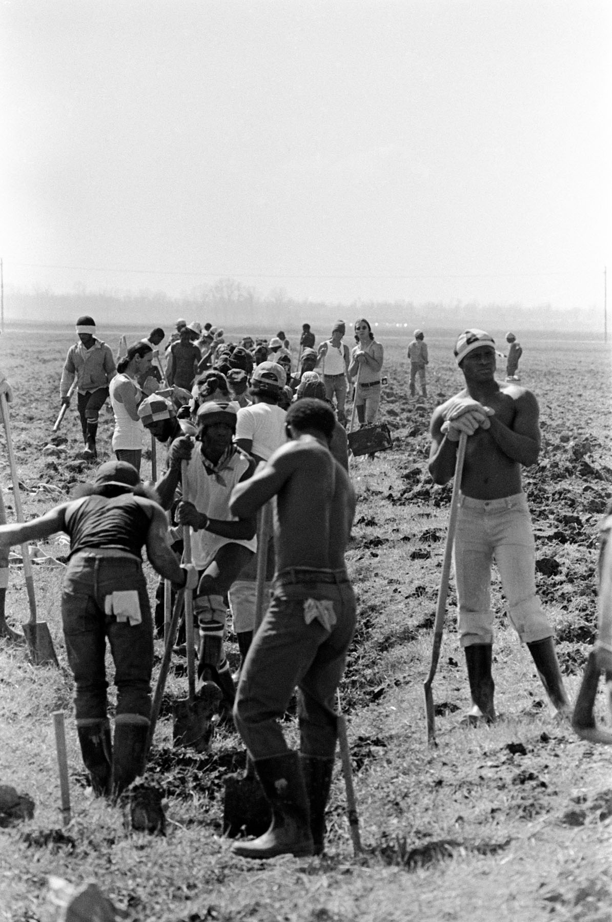 Keith Calhoun. FIELD WORK, ANGOLA STATE PENITENTIARY, 1980.