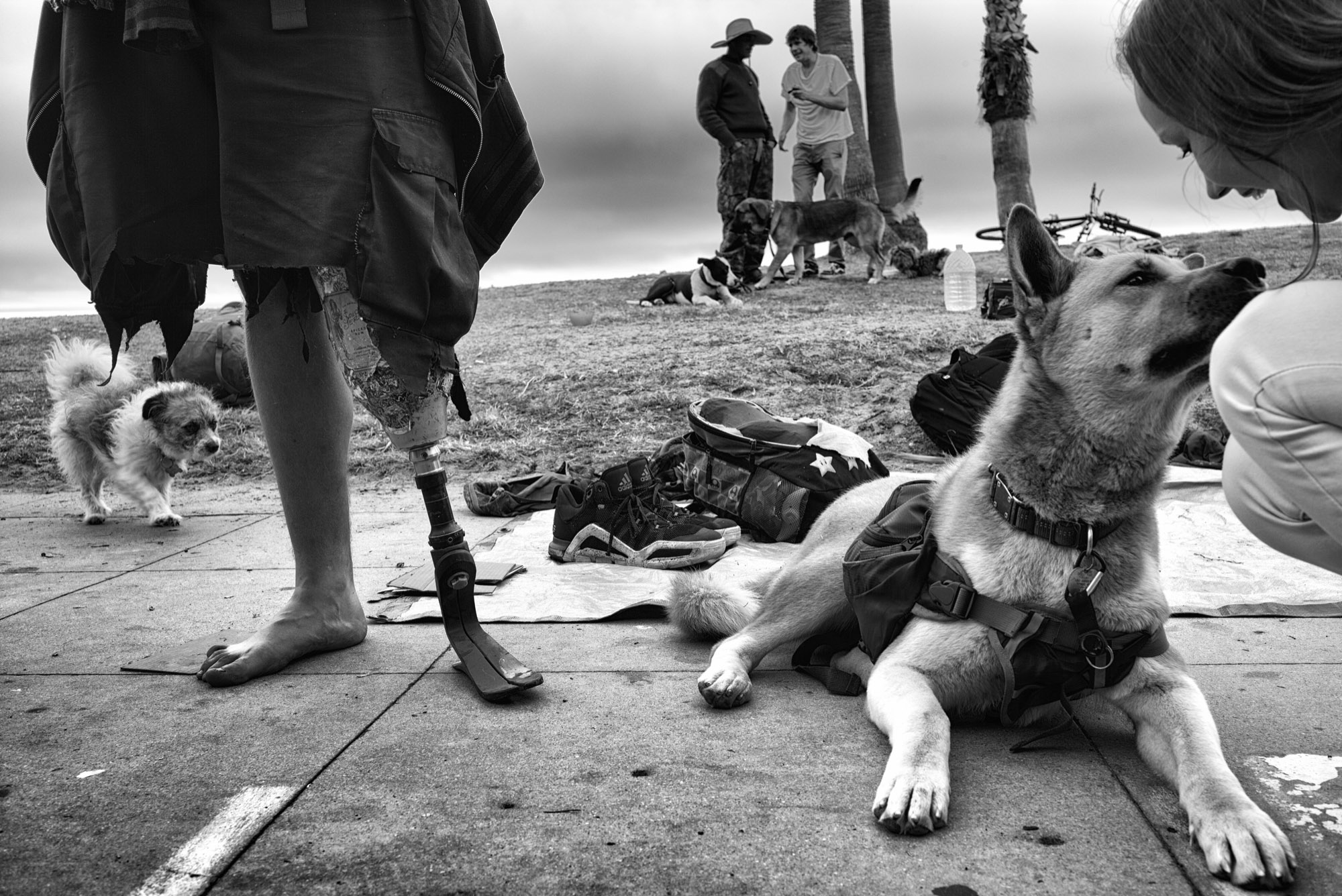 Hopper, the young man with an artificial leg in the foreground, and his friend T—a middle-aged hippie with the hat in the background—hang out with their many dogs on the Venice boardwalk. A young woman stops to pet one of the furry companions. Within the category that we call “the homeless” is a diverse mix of people. Some are chronically homeless and suffer from mental illness. Others—like T and Hopper—proudly identify as “home free” and come to Venice to live the bohemian lifestyle for a few days before setting sail for another destination. © Dotan Saguy