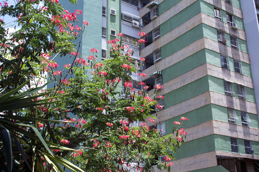 Venezuela building