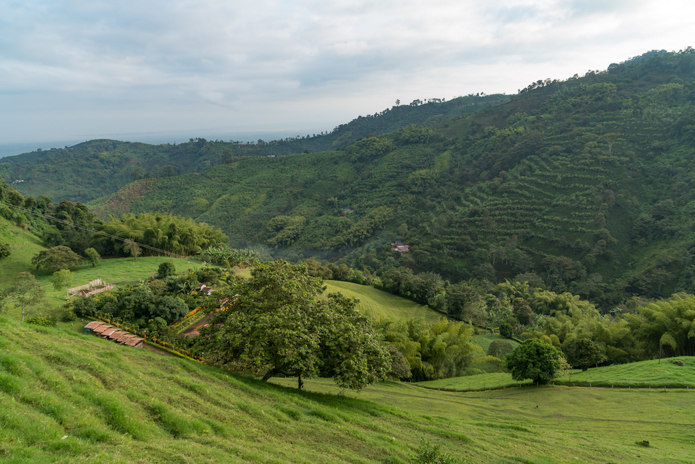 Looking out through the valley at Buenavista,green hills with trees and a collection of brightly coloured buildings